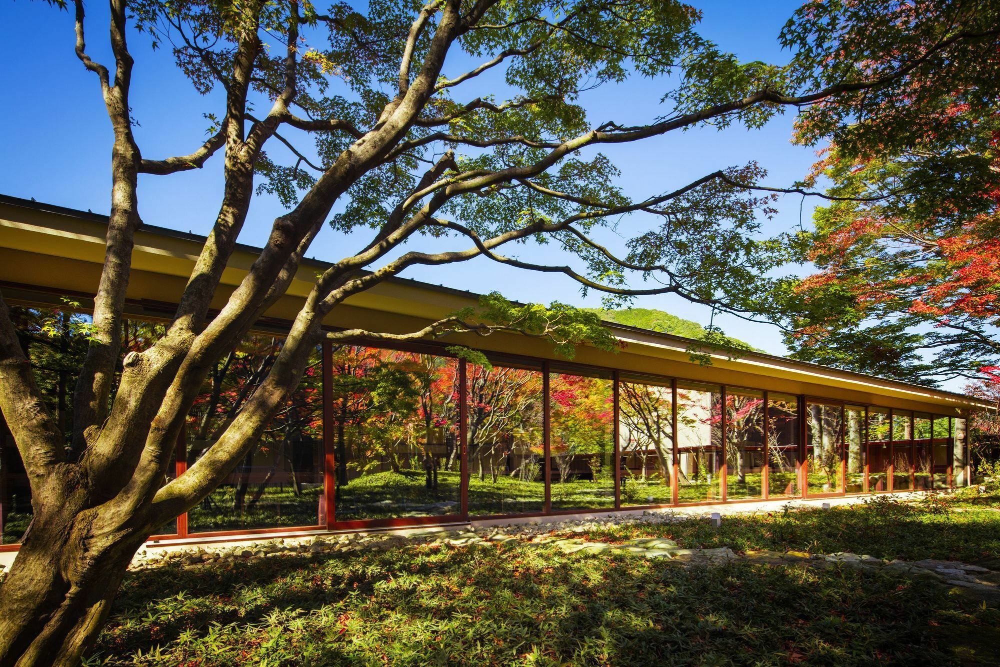 Hoshino Resorts Kai Kinugawa Nikko Buitenkant foto